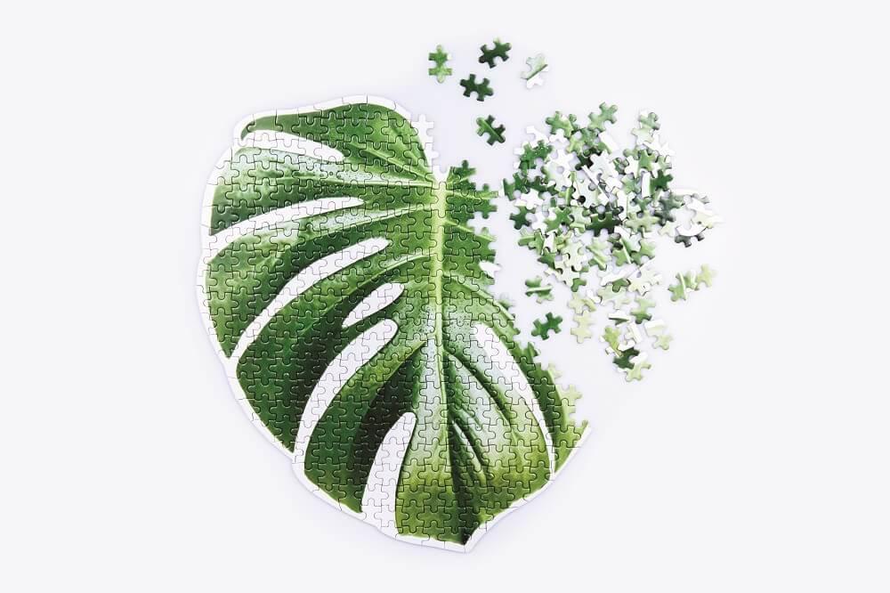 DOIY Slow Puzzle Monstera Puzzle 23cm x 8cm 500pcs